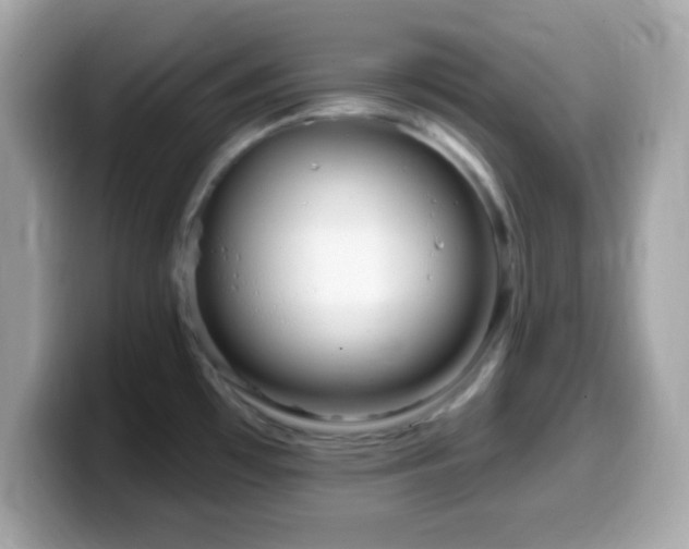 X0000099961481200805231331