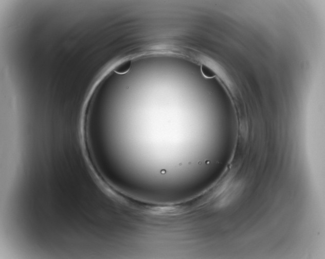 X0000099961482200805231331