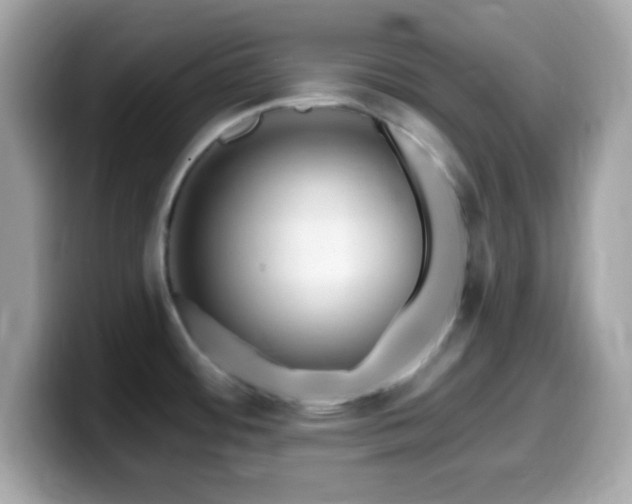 X0000099961484200805231331