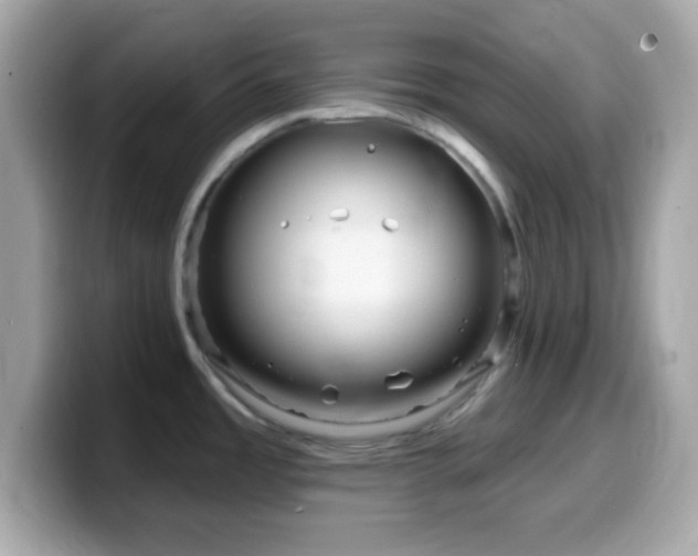 X0000099961485200805231331