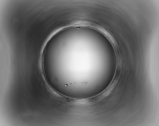 X0000099961486200805231331