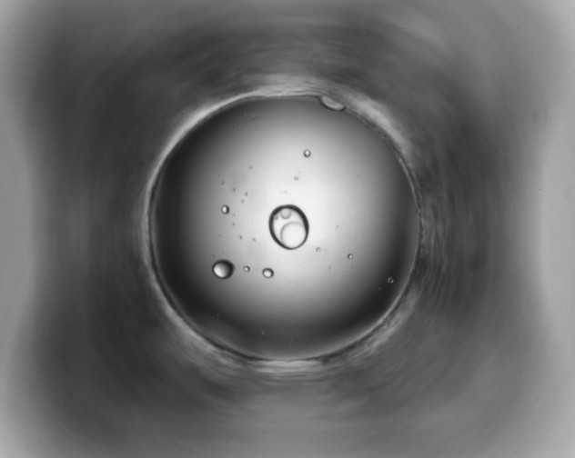 X0000099961487200805231331