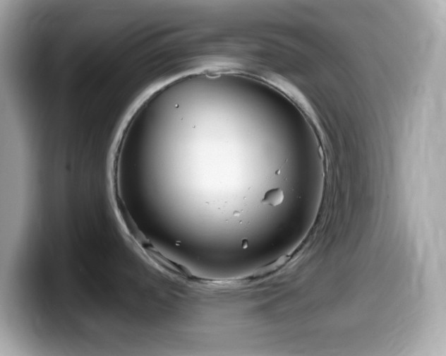 X0000099961488200805231331