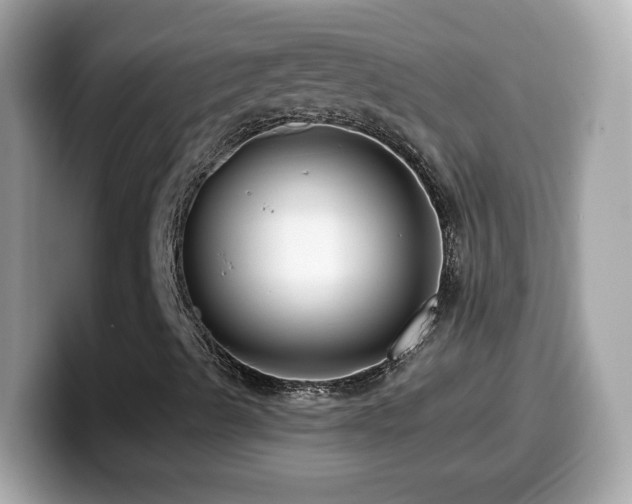 X0000099961489200805231331