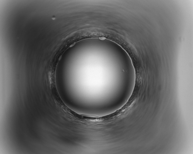 X0000099961490200805231331