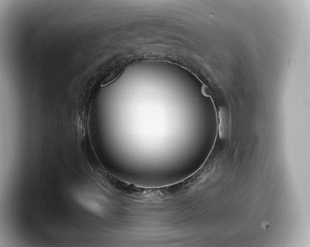 X0000099961491200805231331