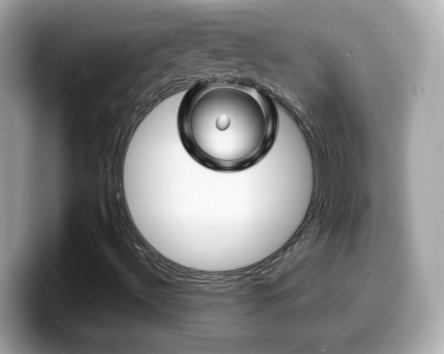 X0000099961492200805231331