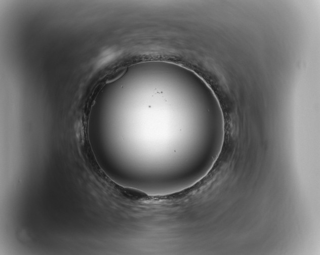 X0000099961493200805231331