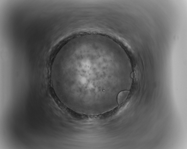X0000099961494200805231331