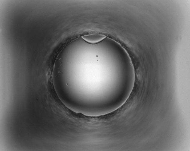 X0000099961495200805231331