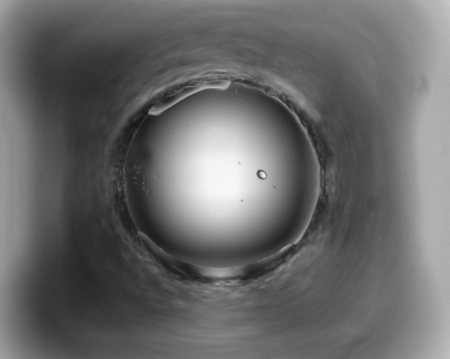 X0000099961496200805231331