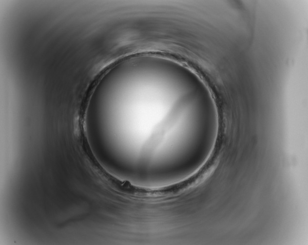 X0000099961497200805231331