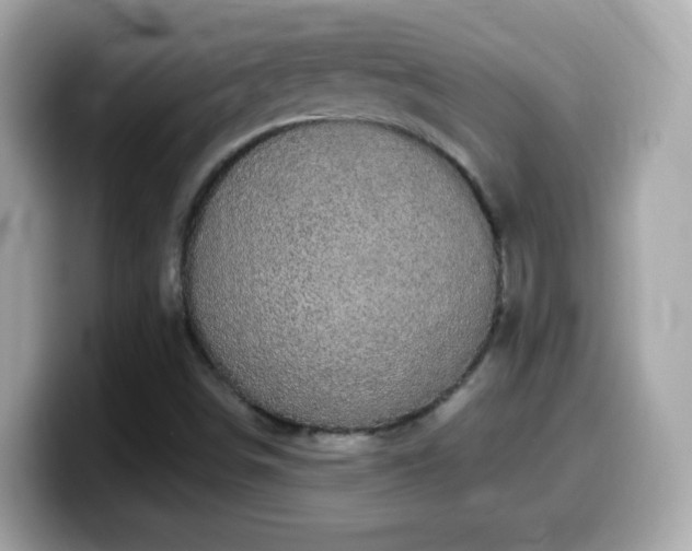 X0000099961498200805231331