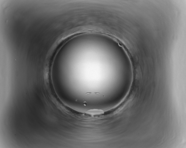 X0000099961499200805231331