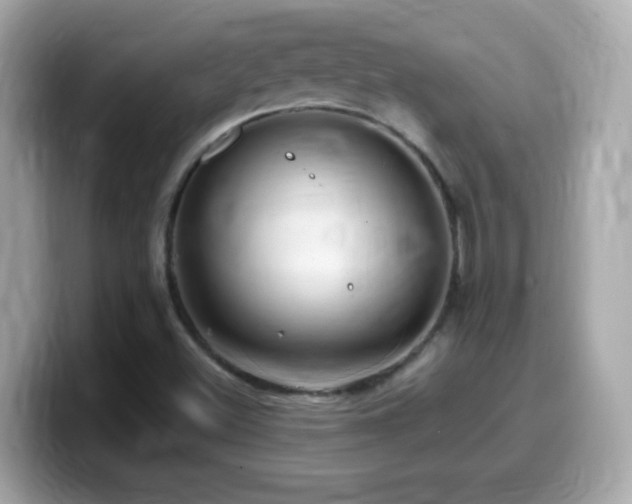 X0000099961500200805231331