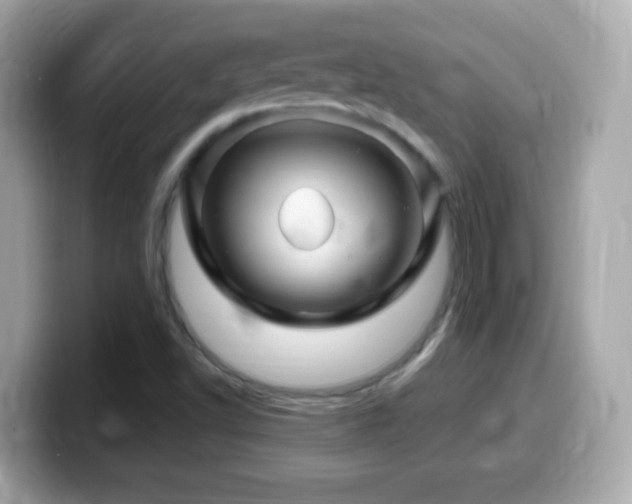 X0000099961502200805231331