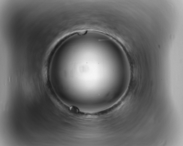 X0000099961503200805231331