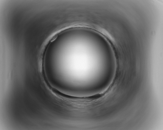 X0000099961504200805231331