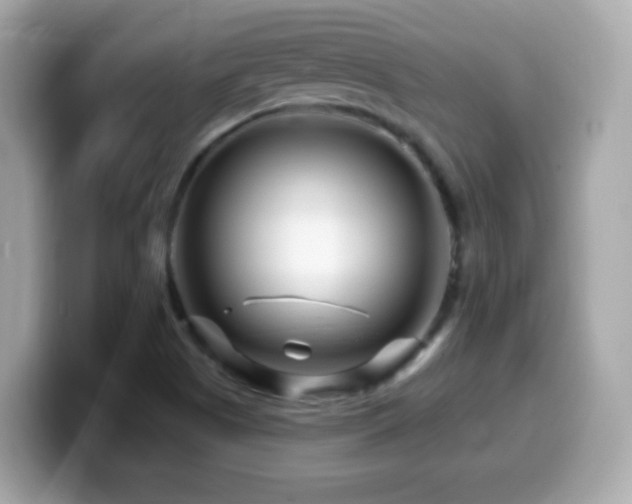 X0000099961505200805231331