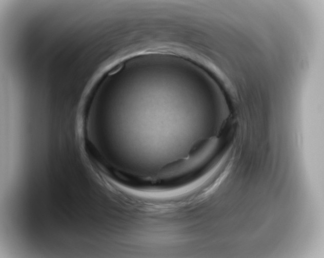 X0000099961506200805231331