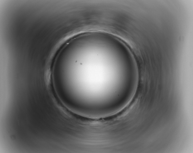 X0000099961507200805231331