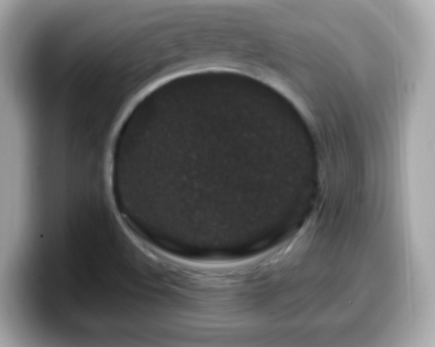 X0000099961508200805231331