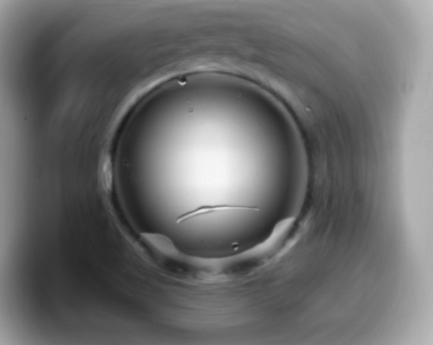 X0000099961509200805231331