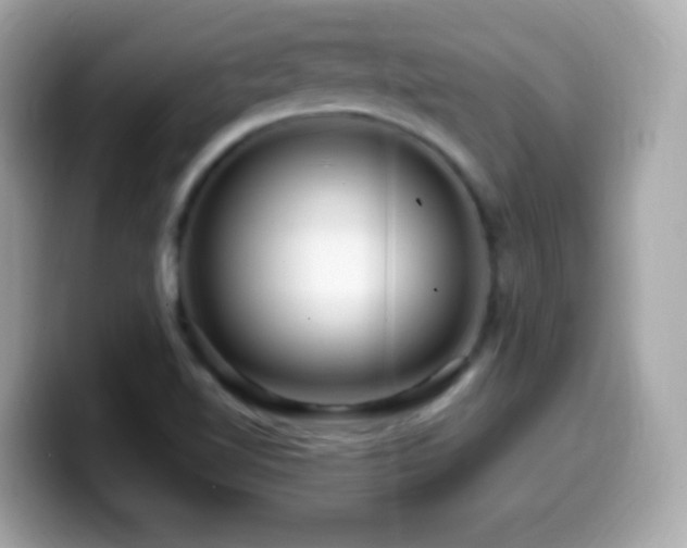 X0000099961510200805231331