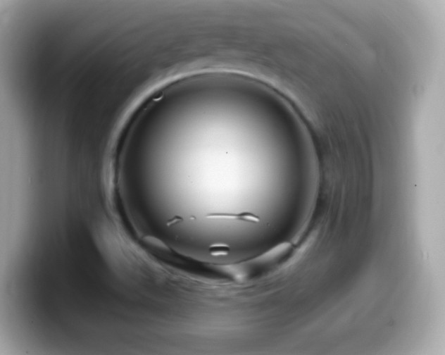 X0000099961511200805231331
