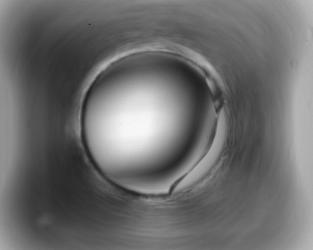 X0000099961512200805231331