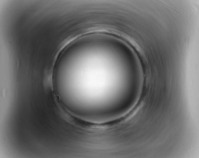 X0000099961513200805231331