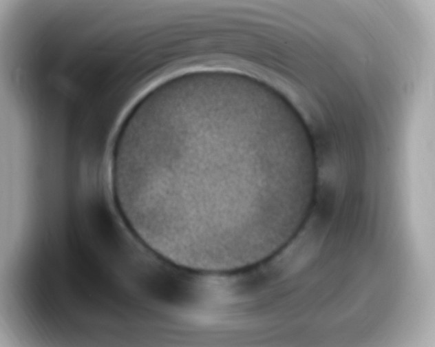 X0000099961514200805231331