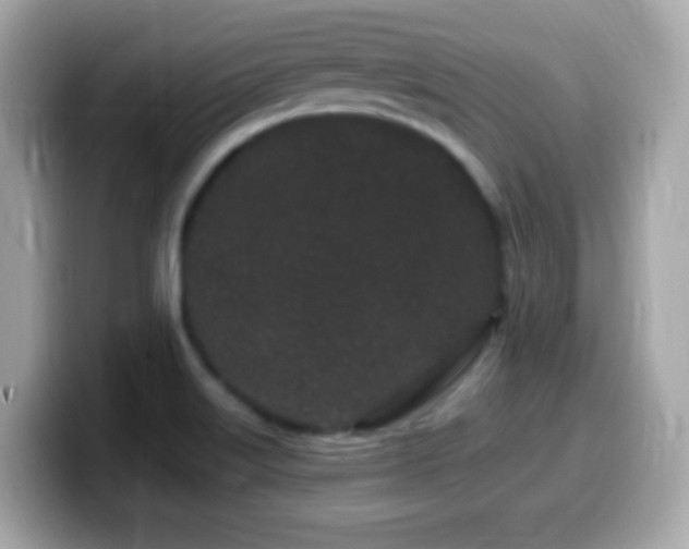 X0000099961515200805231331