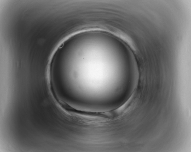 X0000099961516200805231331