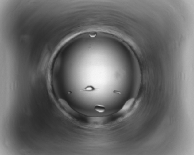 X0000099961517200805231331