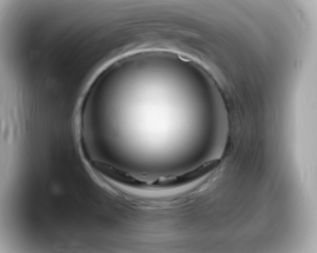 X0000099961519200805231331