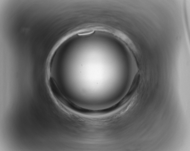 X0000099961520200805231331