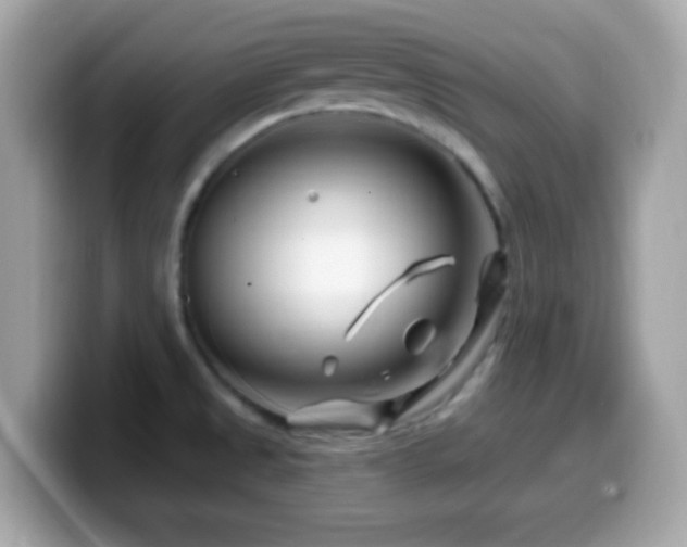 X0000099961525200805231331
