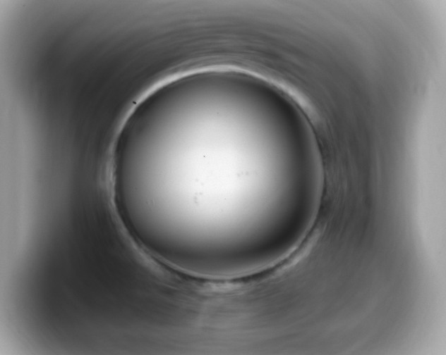 X0000099961526200805231331
