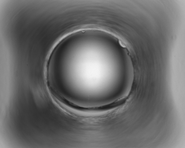 X0000099961527200805231331