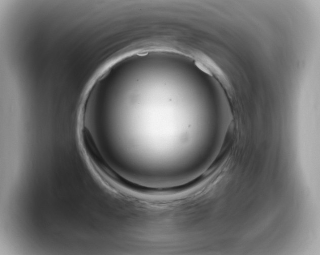 X0000099961528200805231331