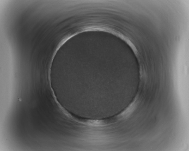 X0000099961529200805231331