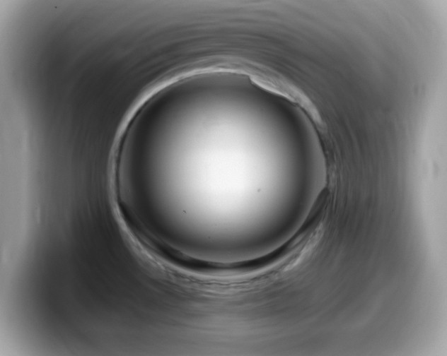 X0000099961530200805231331