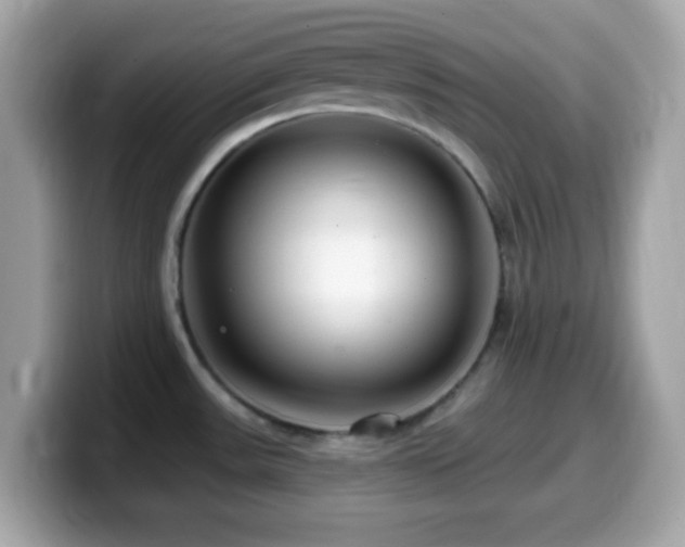X0000099961531200805231331