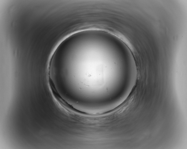 X0000099961532200805231331
