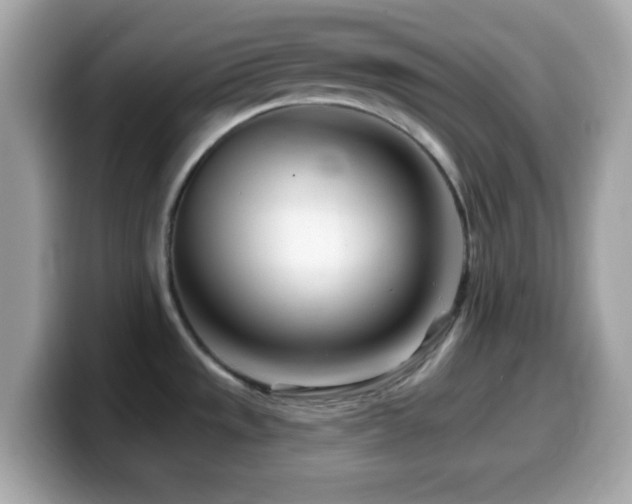 X0000099961533200805231331