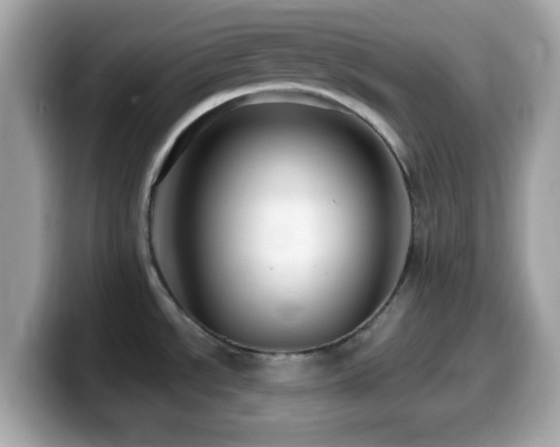 X0000099961534200805231331