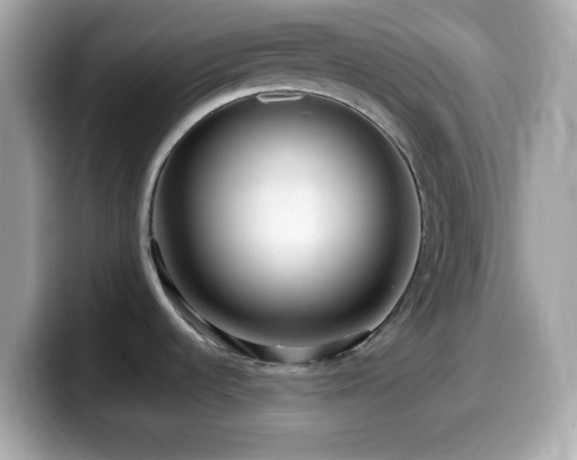 X0000099961536200805231331