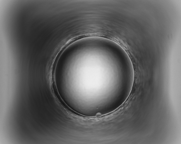 X0000099960002200805301323