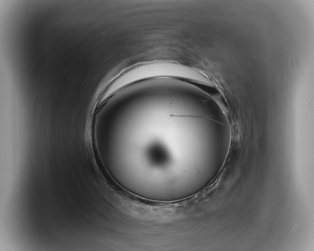 X0000099960004200805301323